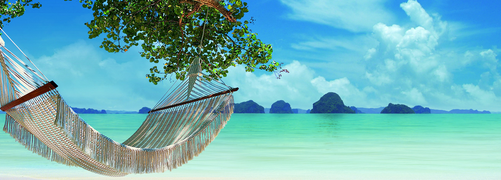 feedback_bg